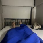 スリープオウル